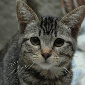 Meet your Posher, Melinda